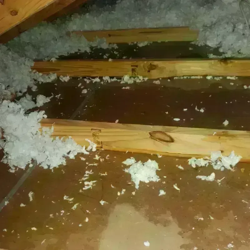 Attic Water Damage in Haltom City, TX